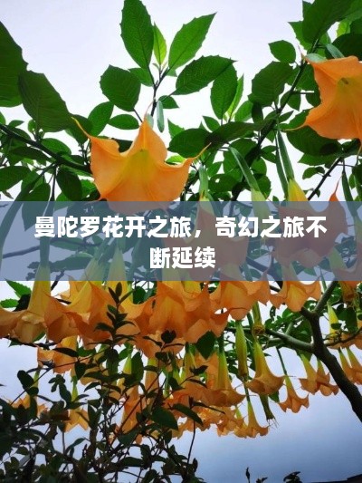 祖道供张 第3页