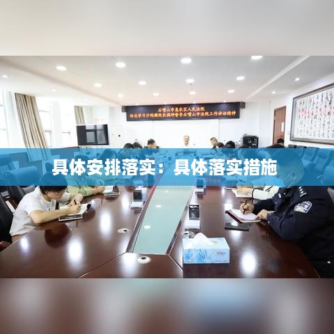 具体安排落实：具体落实措施 