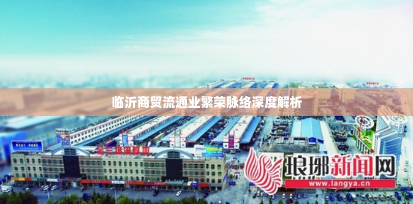 临沂商贸流通业繁荣脉络深度解析