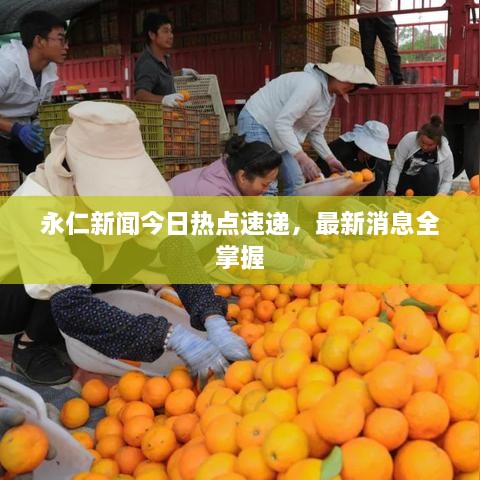 永仁新闻今日热点速递，最新消息全掌握