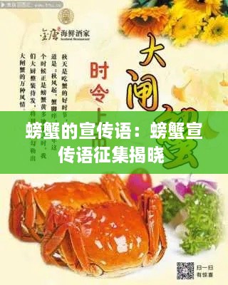 螃蟹的宣传语：螃蟹宣传语征集揭晓 