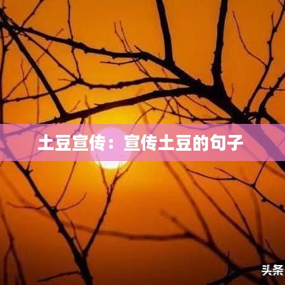 土豆宣传：宣传土豆的句子 