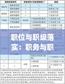 职位与职级落实：职务与职级并行存在问题及意见建议 