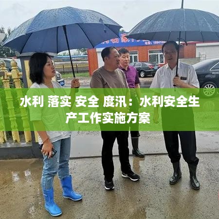 水利 落实 安全 度汛：水利安全生产工作实施方案 