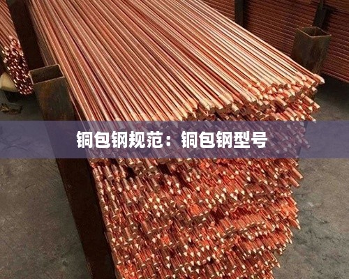 虎背熊腰 第2页