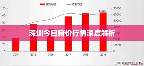 深圳今日猪价行情深度解析