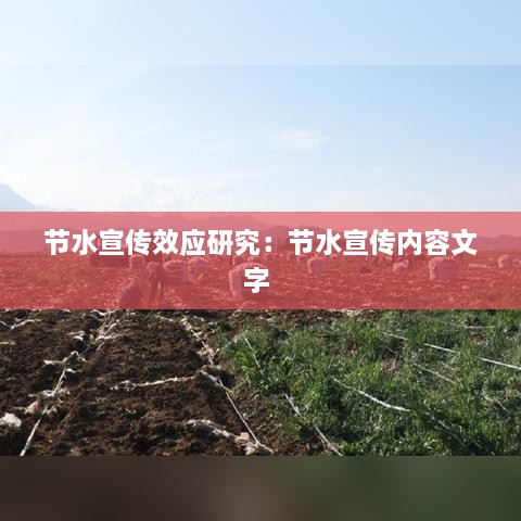 鸟声兽心 第3页