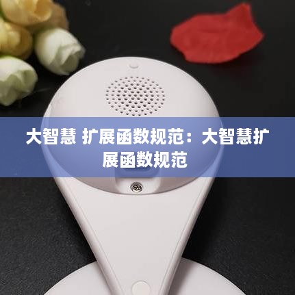 大智慧 扩展函数规范：大智慧扩展函数规范 