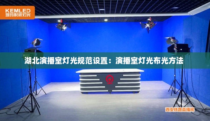 寒蝉僵鸟 第3页