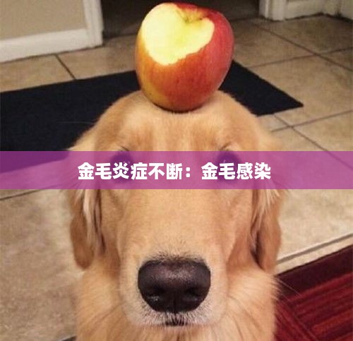 斗志昂扬 第3页