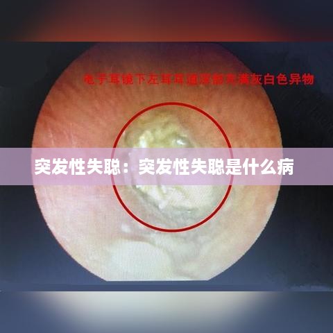 字斟句酌 第2页