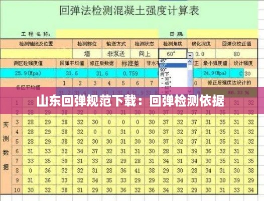 山东回弹规范下载：回弹检测依据 