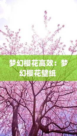 天荒地老 第2页