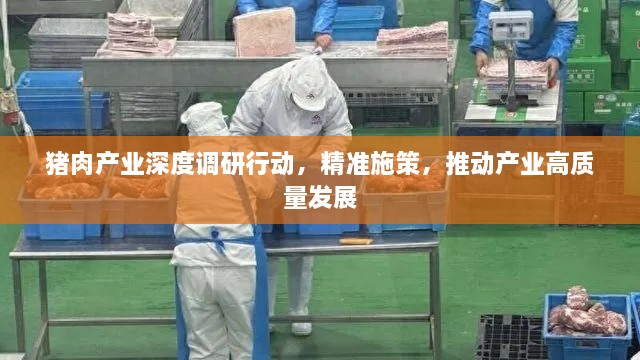 猪肉产业深度调研行动，精准施策，推动产业高质量发展