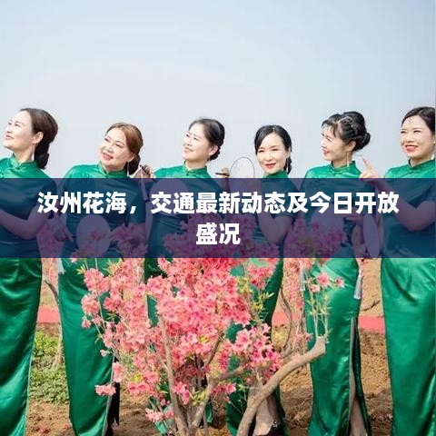 haozhengyixia 第3页