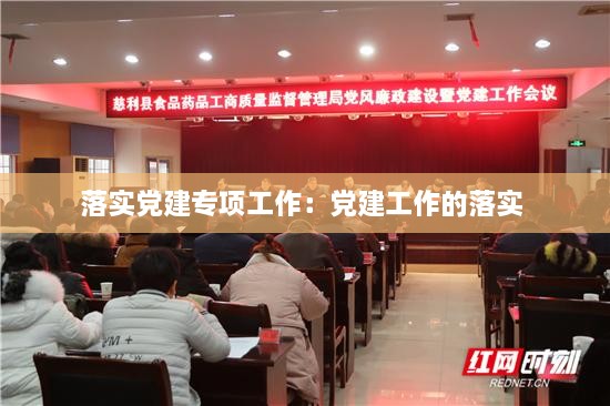 落实党建专项工作：党建工作的落实 