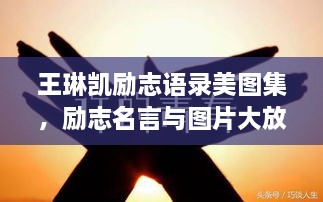 王琳凯励志语录美图集，励志名言与图片大放送！