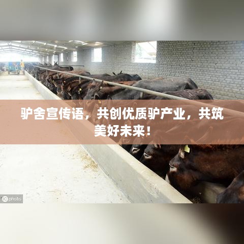 驴舍宣传语，共创优质驴产业，共筑美好未来！