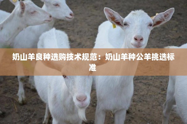 奶山羊良种选购技术规范：奶山羊种公羊挑选标准 
