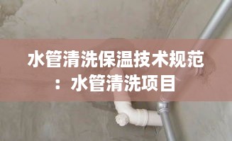 水管清洗保温技术规范：水管清洗项目 
