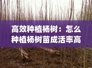 剑拔弩张 第2页