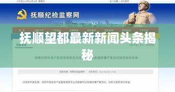 gushouruchai 第3页