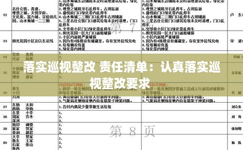 落实巡视整改 责任清单：认真落实巡视整改要求 