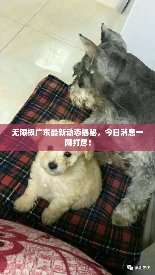 zhanggongxieshi 第2页