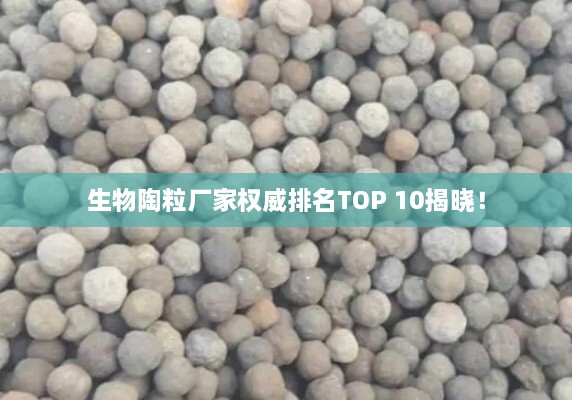 肝胆相照 第2页