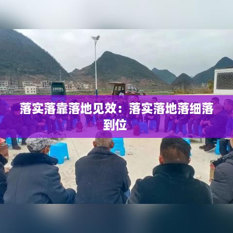 落实落靠落地见效：落实落地落细落到位 