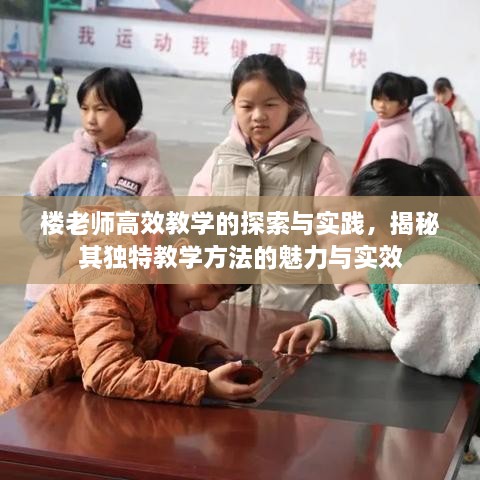 楼老师高效教学的探索与实践，揭秘其独特教学方法的魅力与实效