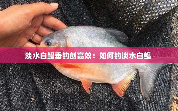 雪中送炭 第2页
