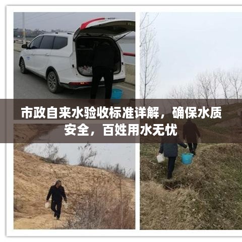 虫书鸟篆 第2页