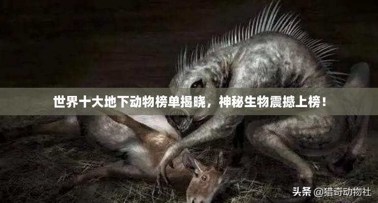 下里巴人 第2页