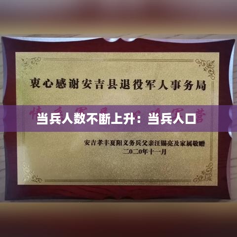 椎髻布衣 第2页