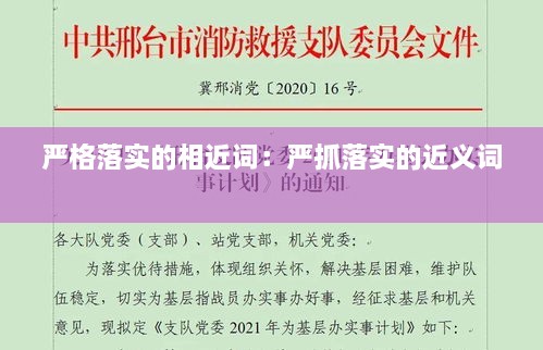 严格落实的相近词：严抓落实的近义词 
