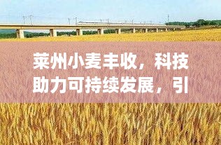 莱州小麦丰收，科技助力可持续发展，引领行业新篇章