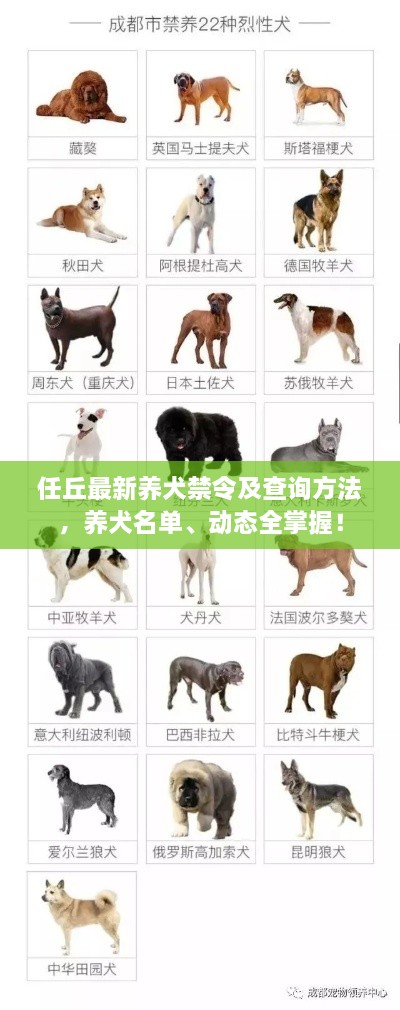 矫枉过正 第2页