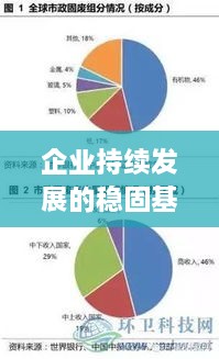 企业持续发展的稳固基石，管理规范化水平的提升