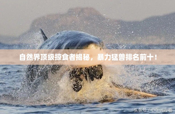 随方就圆 第2页