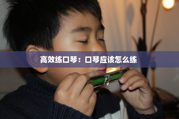 高效练口琴：口琴应该怎么练 