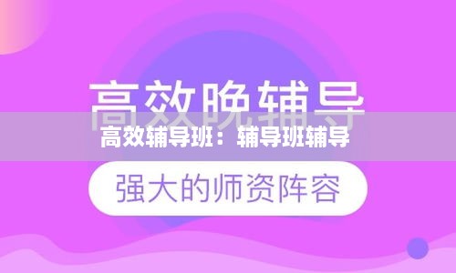 高效辅导班：辅导班辅导 