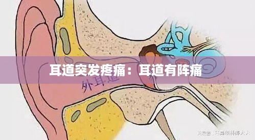 母以子贵 第2页