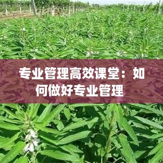 zuoshedaobian 第2页