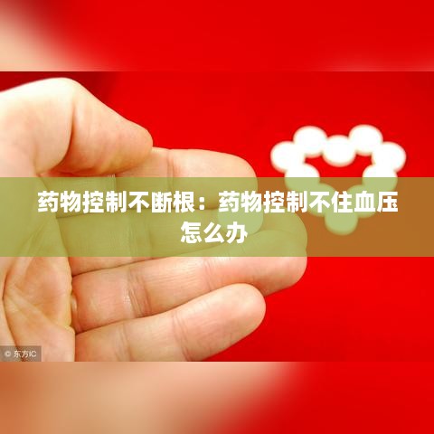 xingjirufei 第2页