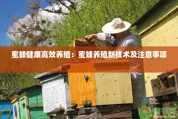 艰苦朴素 第2页