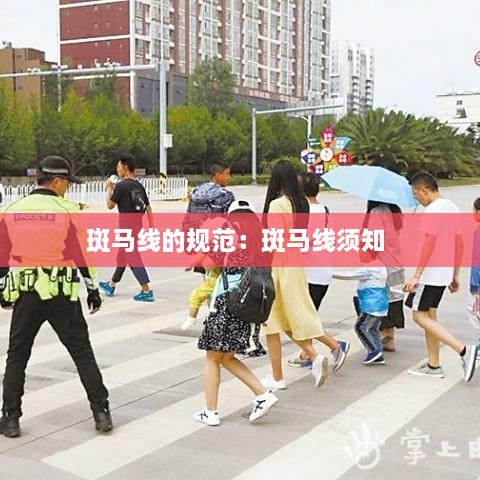 斑马线的规范：斑马线须知 