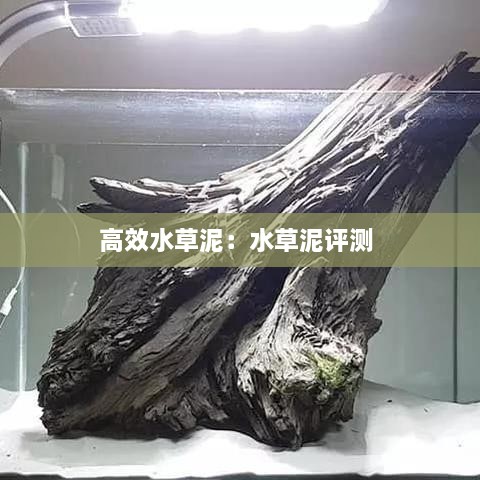 高效水草泥：水草泥评测 