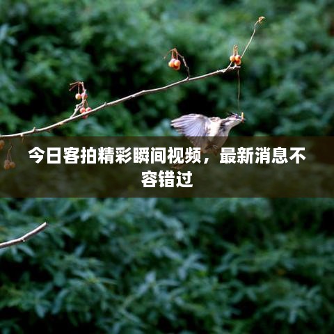 张皇失措 第2页