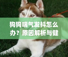 weiminqingming 第2页